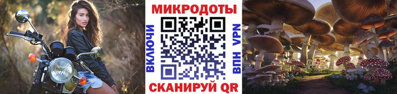Галлюциногенные грибы Psilocybine cubensis shop официальный сайт Пересвет